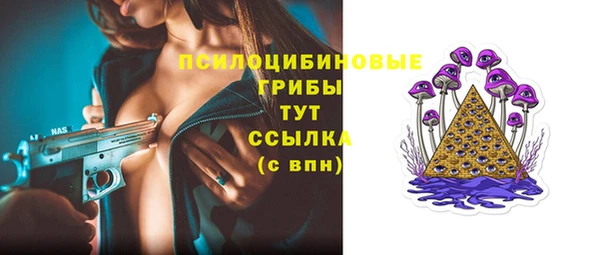 прущие крисы Губаха