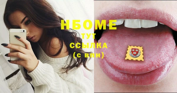 шишки Грязовец