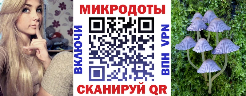Псилоцибиновые грибы мицелий  Черногорск 