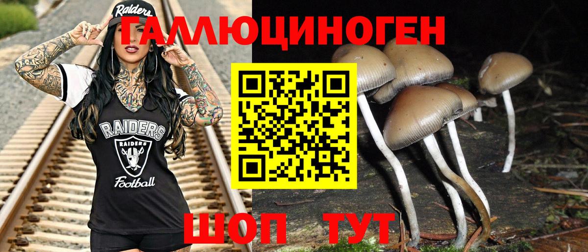 Черногорск  Псилоцибиновые грибы прущие грибы  Вход с VPN 